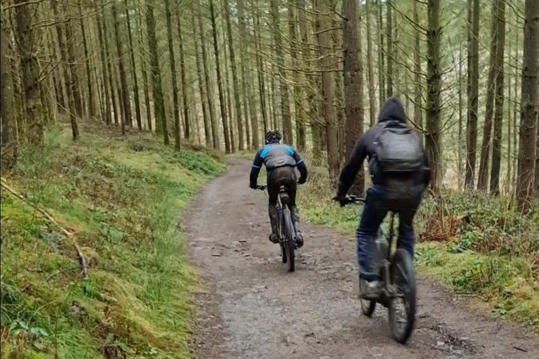 Boshuis Nos Bohio Durbuy Exteriör bild